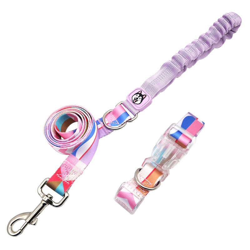 Custom Pet Leash