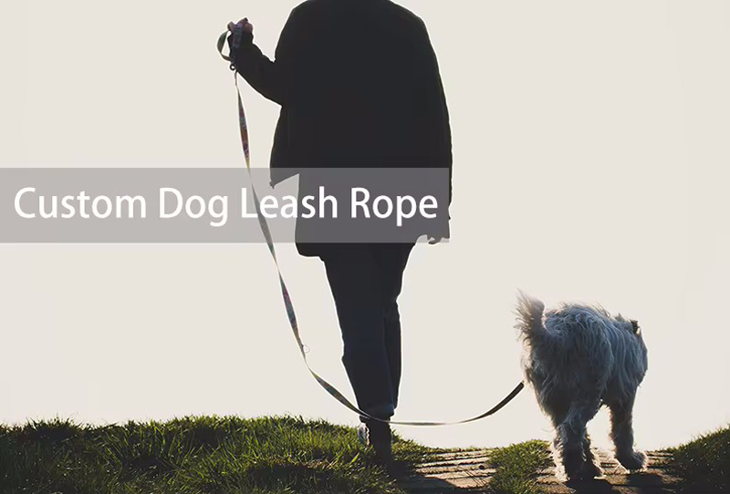 Dog Leash Custom
