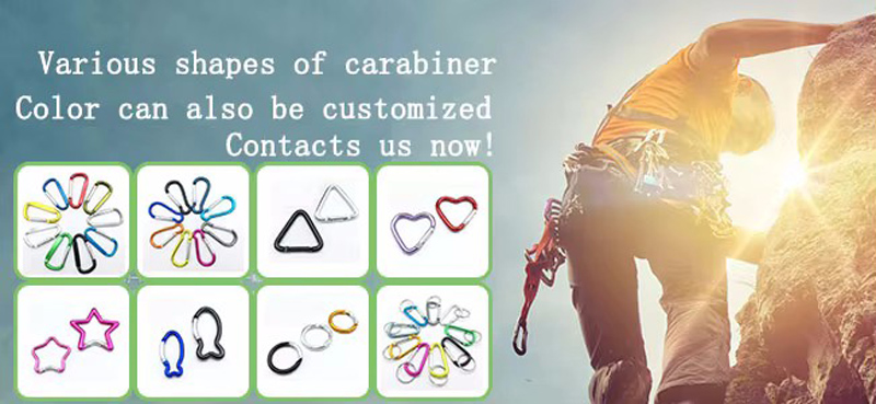 Carabiner Snap Clip