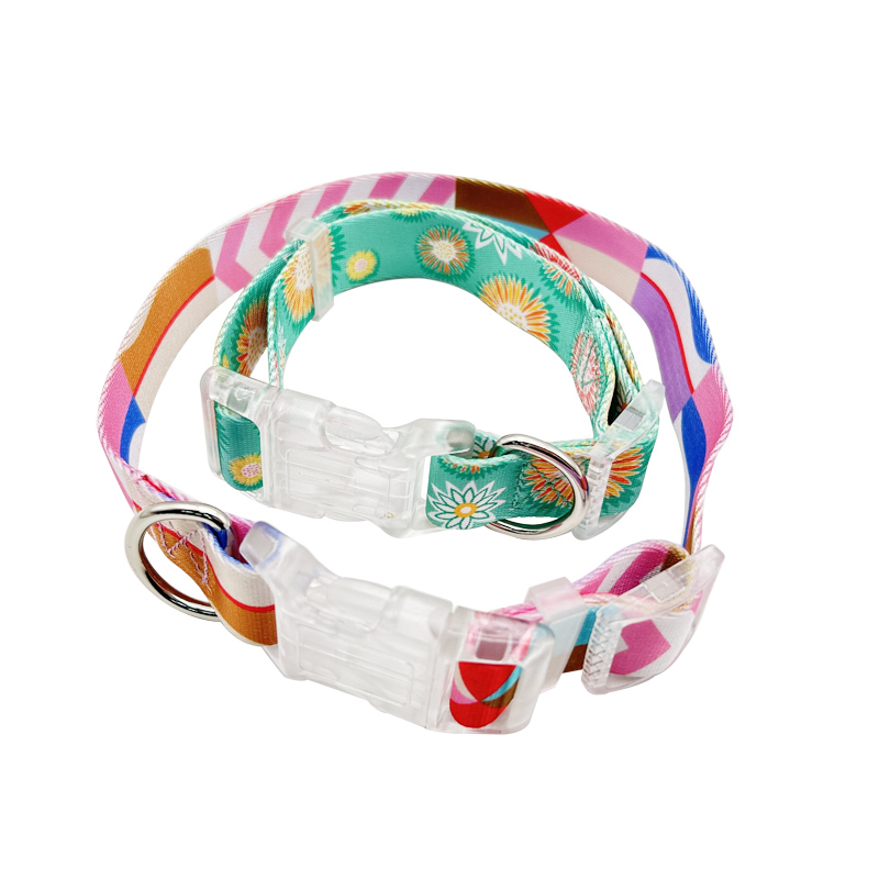 Nylon Pet Collar.jpg