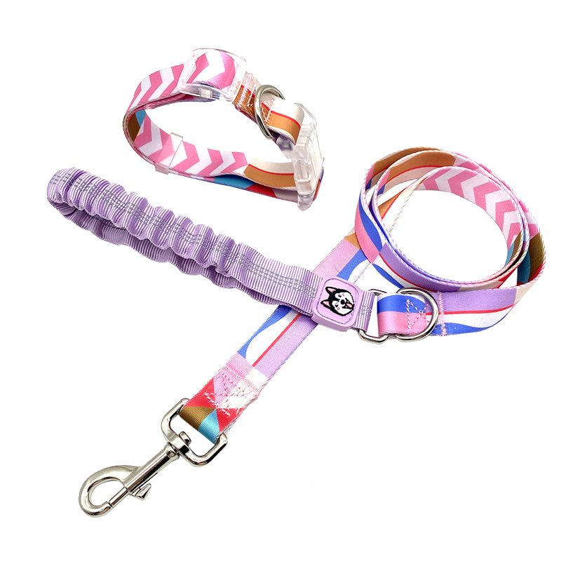 Dog Leashes And Collars.jpg