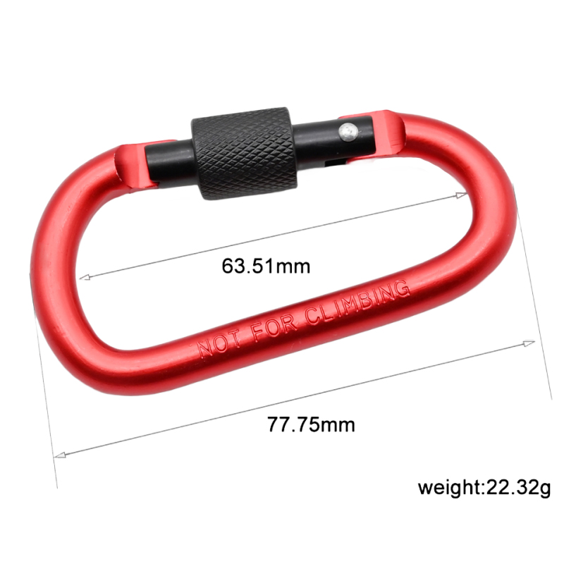Lock Shaped Carabiner.jpg