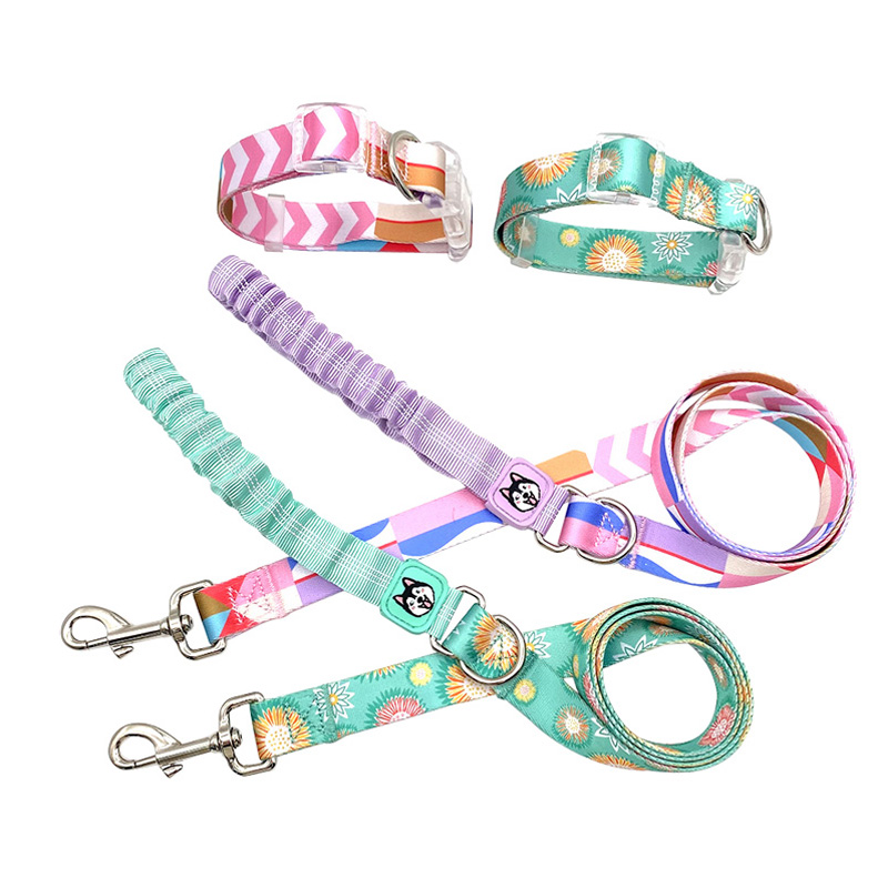 What is the best collar and lead for a dog that pulls?