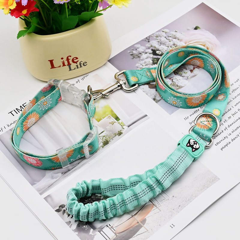 Pet Leashes And Collars.jpg