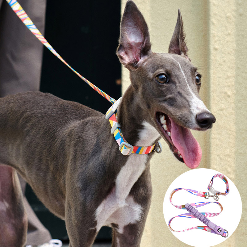 Customizable Dog Leashes