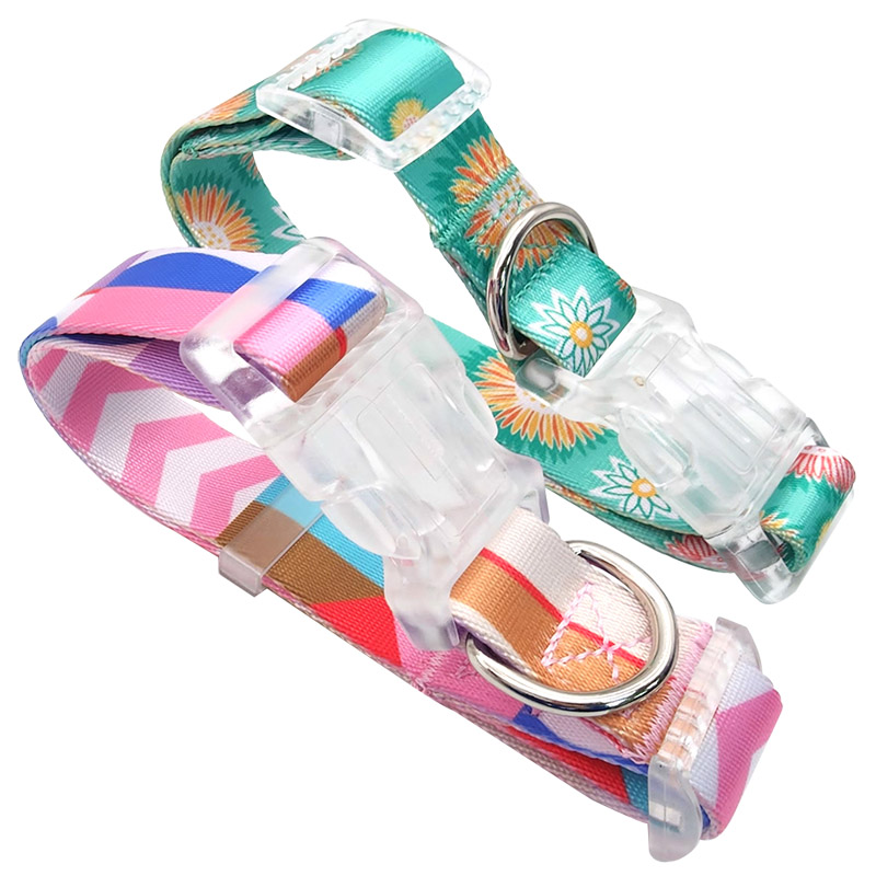 Nylon Dog Collar.jpg