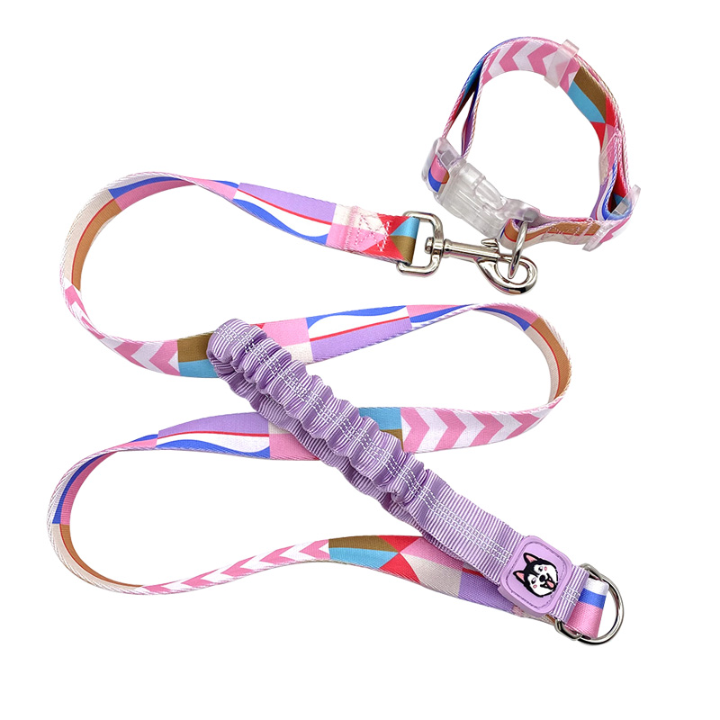 Pet Leash.jpg