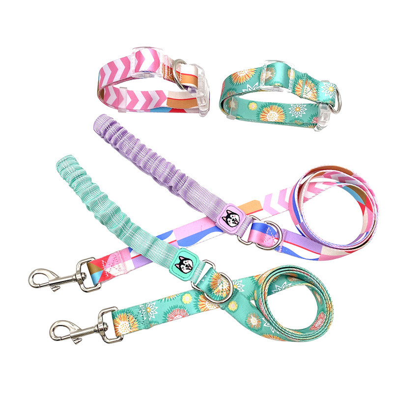 Custom Logo Dog Leash